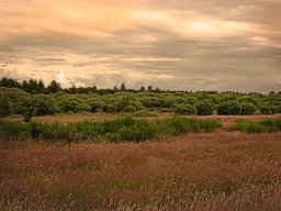 IMGP6120-1_Borris Soenderland